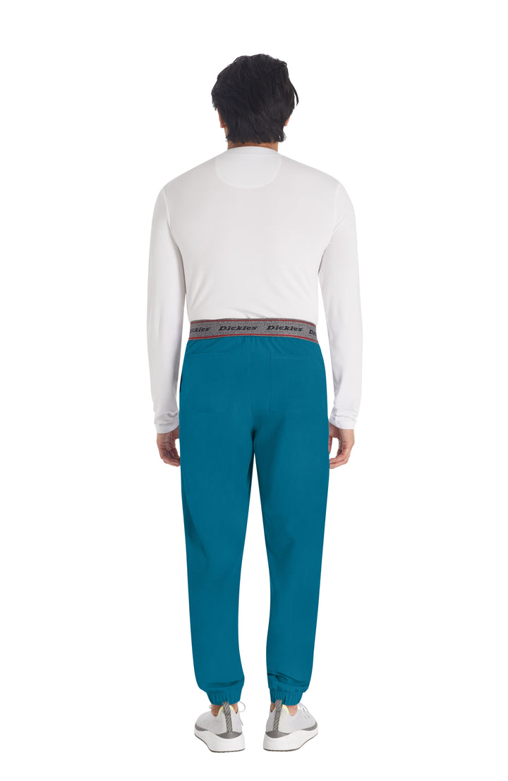 Pantalon jogger, homme - DICKIES - 217